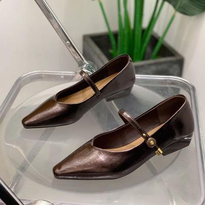 Pointed Thick Heel Single Shoes Women's 2025 Autumn New Versatile Mary Jane Shoes Comfortable and Not Tired Feet Shallow Mouth Work Women's Shoes