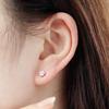 [Bijouholic] Silver 925 Basic Simple Layered Earrings