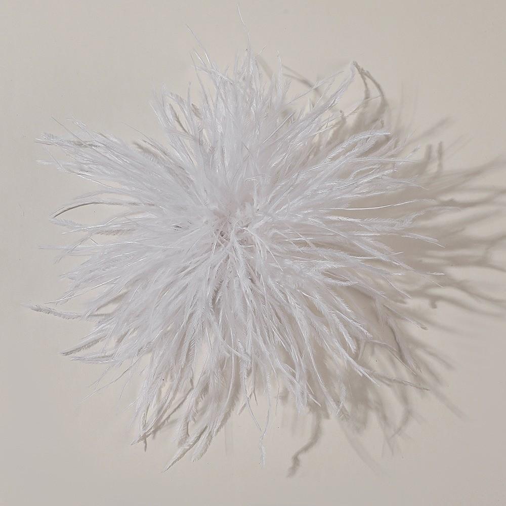 Broches à Plumes Grandes 8-10cm Design Exagéré Broche à Plumes Accessoires Accessoires pour Cheveux