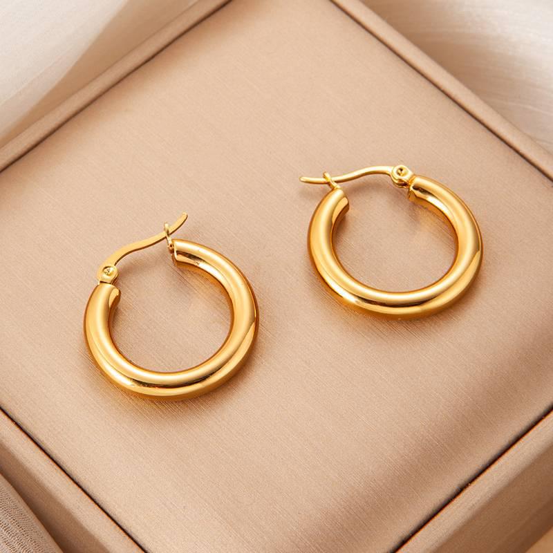 Gold Plated Stainless Steel Retro Earrings: European & American Luxury Style
