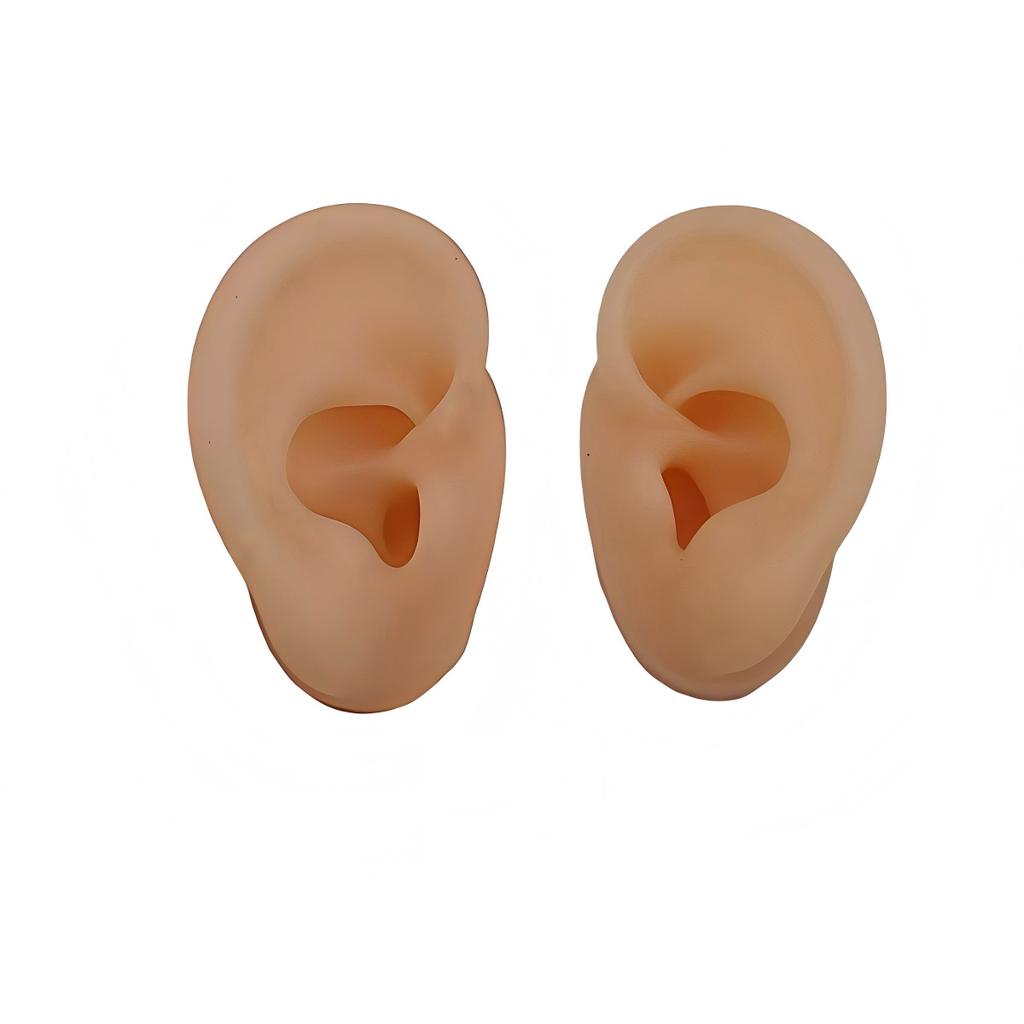 Acrylic Earring Display Stand with Soft Silicone Ear Model Jewelry Display and Storage