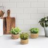 Green Artificial Plants Eucalyptus Grass Woven Small Potted Plants Grass Mound 11cm PE Material Home Decoration