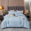 Yiyi Ai Polyester Fiber Duvet Insert