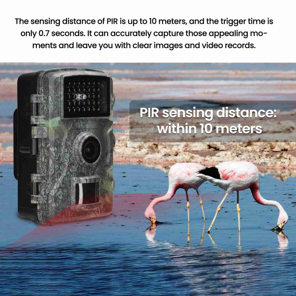 Fotocamera da sentiero 2,0 pollici IP66 Impermeabile 1080P HD Fotocamera da esterno per Supervisione Fattoria Osservazione Campo Esterno