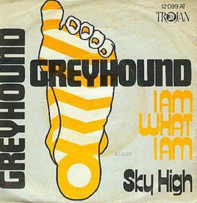 7inch Record GREYHOUND  I Am What I Am 12099AT Trojan Records 1972 UK Reggae Ska  Dub Used