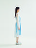 Bomnal Boutique See-Through Midi Dress _ Gray