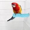 Pet Grinding Claw Bar Bird Cage Perches Standing Stick for Parrot Accessories(Blue S)