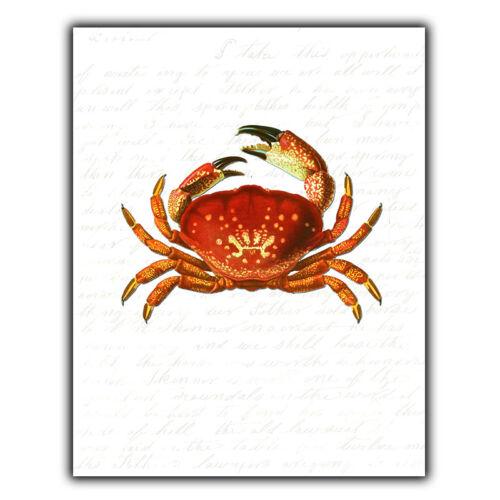 

CRAB SEA LIFE METAL PRINT PLAQUE WALL SIGN restaurant kitchen art decorAluminum 20x30cm（7.8x11.8inch）