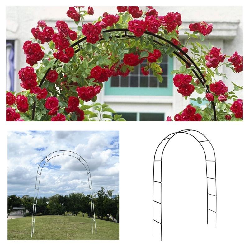 Simple Style Arch Trellis For Climbing Plants Foldable Metal Frame Black/white