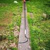 Aokedu Telescopic High Branch Pruning Saw