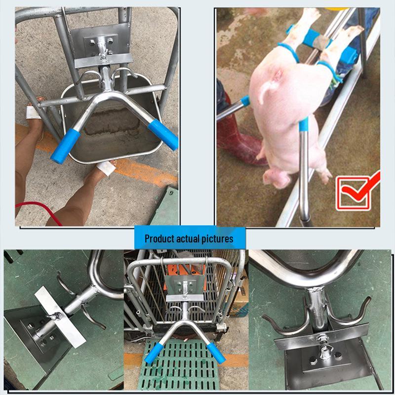 Piglet Castration Rack: Stainless Steel Suspension Table for Secure Pig Fixation During Castration