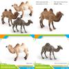 Desert Animal Pvc Figurine Twin Hump Camel Static Decor For Children Learning Play