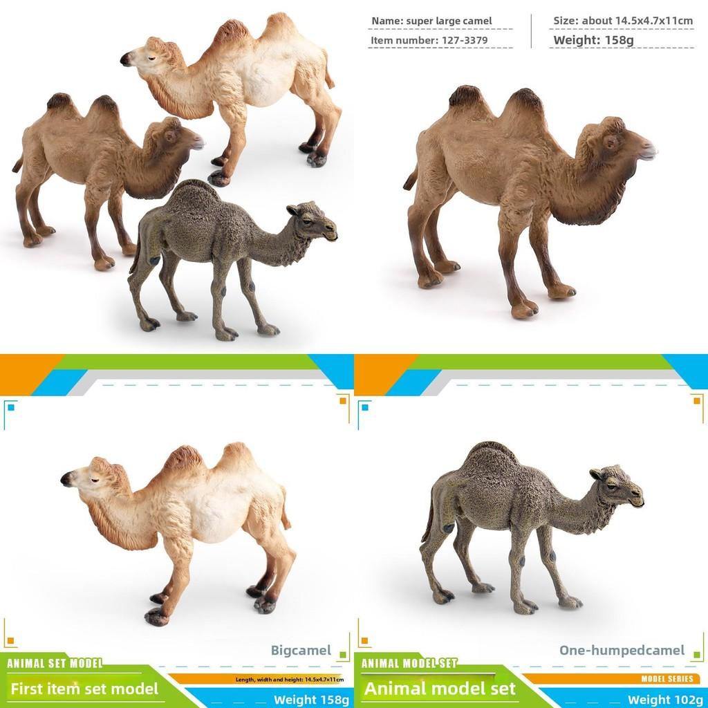 Desert Animal Pvc Figurine Twin Hump Camel Static Decor For Children Learning Play