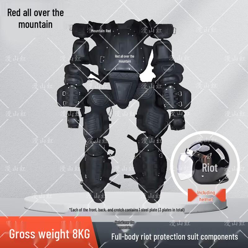 Professional Anti-Riot Armor Set