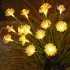 Solar Fiber Optic Flower LED Lights 6 8 10 Heads Warm Light Outdoor Garden Lawn Decor Mood Lamp for Party Yard Patio Landscaping