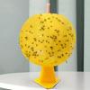 Fly Trap No Harsh Chemicals Efficiently Capture Flies Midges And Other Flying InsectsSafety And Environmental Protection