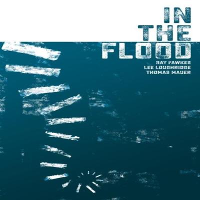 In the Flood by Lee Loughridge Paperback Book 9781506724690