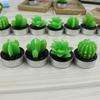 Lovely Fleshy Potted Plants Fruit Scented Candles Creative Home Decor