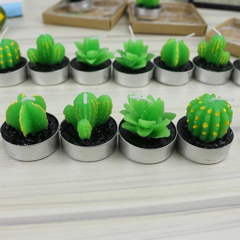 Lovely Fleshy Potted Plants Fruit Scented Candles Creative Home Decor