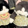 Plush Stuffed Animal Plush Pillow Cat Fluffy Stuffed Cat Kawaii Run Plush Toy  Birthday Gift