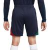 Nike Dri Fit Soccer Bottom Men's Obsidian/Canyon Green/Pepper Red DH6470-451