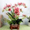 3D Hand-Feel PU Phalaenopsis Flower Set - High-End Decorative for Home, Living Room, Restaurant, or TV Cabinet