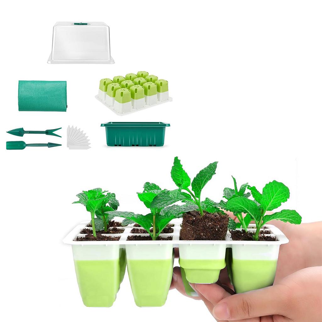 Fide Çimlendirme Tepsisi Seti İç Mekan Sera Bitki Yetiştirme Kutusu Ev Kullanımı için Şeffaf Kapaklı Çoğaltma Kabı