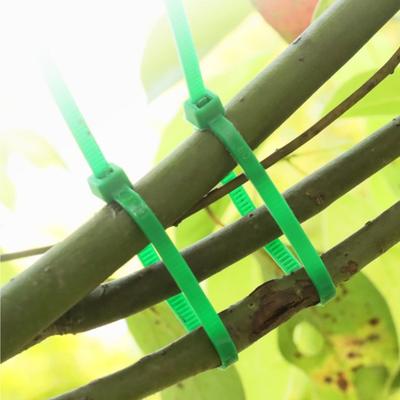 100 Pcs Nylon Zip Ties UV Resistant Self Locking Zip Ties Heavy Duty Plant Ties Cable Ties for Christmas Garden Plants Fence Holiday Lights