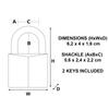 Master Lock Brass Padlock with Thick Body, Key, 40x62x16 mm