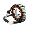 Areyourshop 21003-0023 21003-0041 21003-0042 STATORSPULE für KAWASAKI ER6N ER-6N VERSYS NINJA 650 ZX-6R