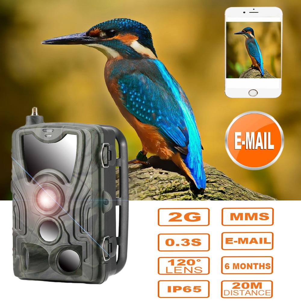 Suntekcam 2g 20 MP 1080p MMS/SMTP/SMS Hc801m 2g Jagd-Hinterkamera Wildtier-Po-Fallen 0,3 s Trigger-Jägerkamera