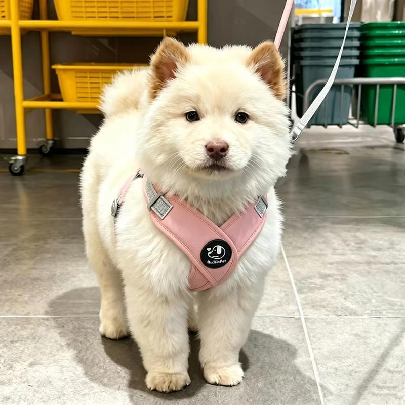 Reflective Dog Vest Harness Leash Set Soft Adjustable No Pull Pet Puppy Chest Strap for Small Medium Dogs Cats Pug Daily Walking