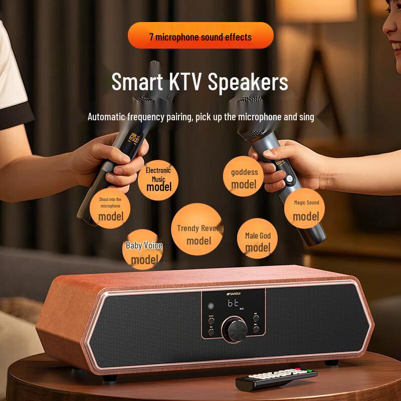 SANSUI Desktop Home KTV Karaoke Audio System