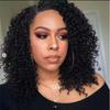 European and American Style Women’s Fashion Wig Black Short Curly Wg with Side Part Synthetic Small Curls
