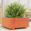 VidaXL Planter Wax Brown 50x50x26.5 Cm Solid Pine Wood, Outdoor Planter, Flower Box, Plant Box, 847295