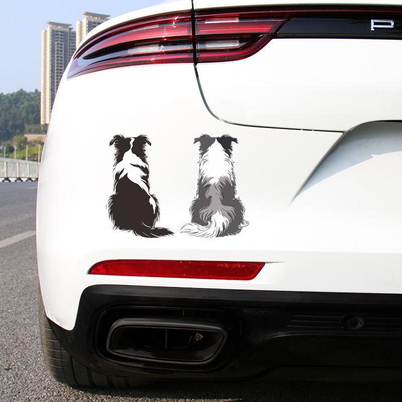 Adesivo Cartoon Border Collie Posteriore, Adesivo Vinilico per Cane Autoadesivo Impermeabile per Decorazione Finestrino Auto Paraurti