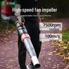 Lichen Gasoline Backpack Multi-Purpose Blower CN plug (adapter included)