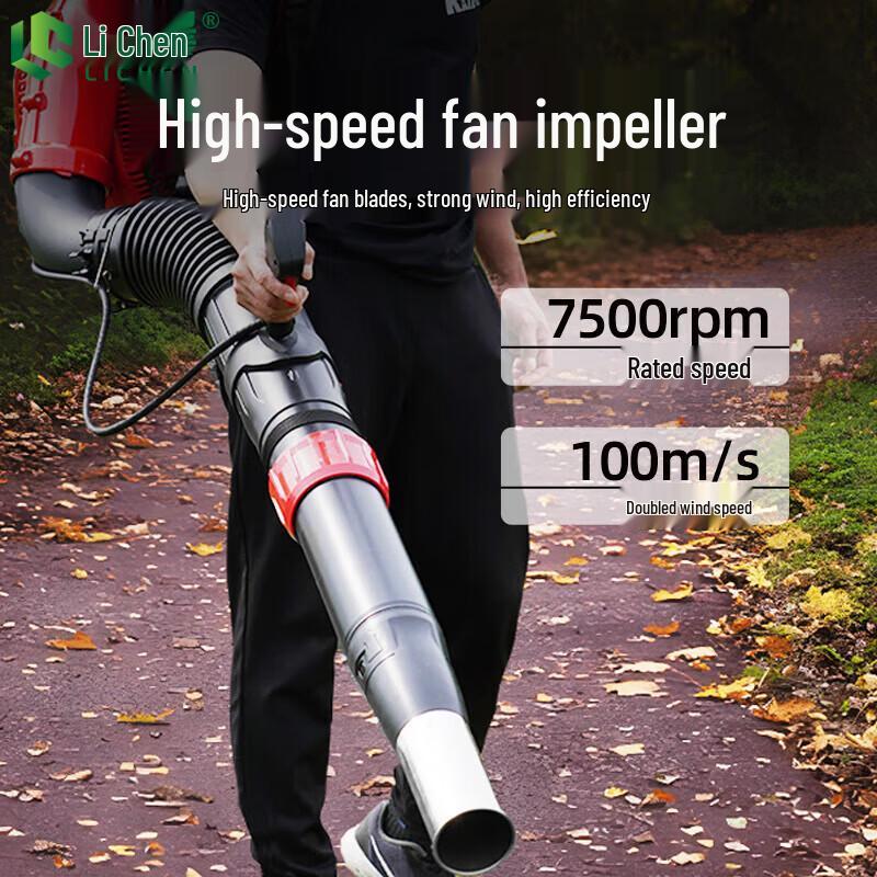 Lichen Gasoline Backpack Multi-Purpose Blower CN plug (adapter included)