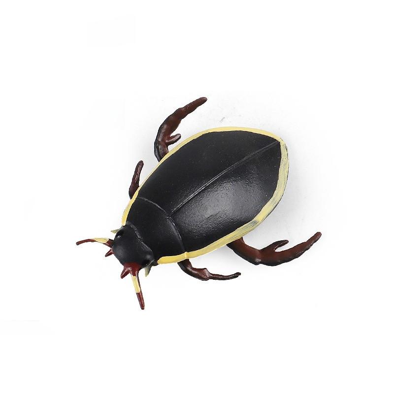 Insect Model Water Bug Toy With Plastic Material For Childrens Educational Play