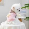 Hollow Out Dog Base Sweater Two Legged Dog Pullover Puppy Costumes Pet Knitted Hoodie  Four Seasons