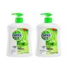 Plant Care Antibacterial Hand Wash