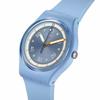 Swatch Frozen Waterfall SO31L100 Blue Watch