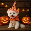 Halloween Pet Witch Costume Set Crochet Pointed Hat With Cloak Bell Decor Holiday Dress Up Outfit for Small Dogs Cats