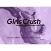 Girls Crush - Mirror Lip Gloss - 3 Colors