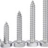 304 Stainless Steel Hex Flange Self-Tapping Screw with Washer (M3/M4/M5)