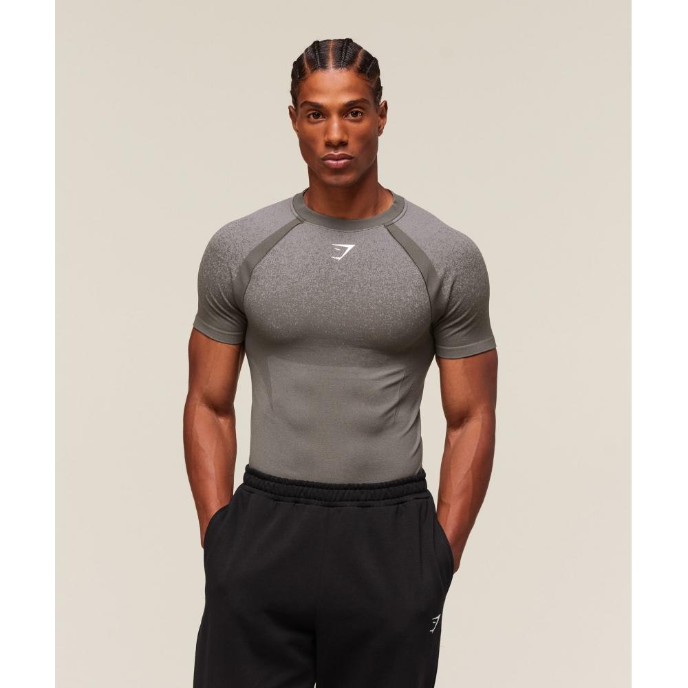 

Gymshark Shadow Seamless T shirT meTeor Grey A1b2a Gc4l XS