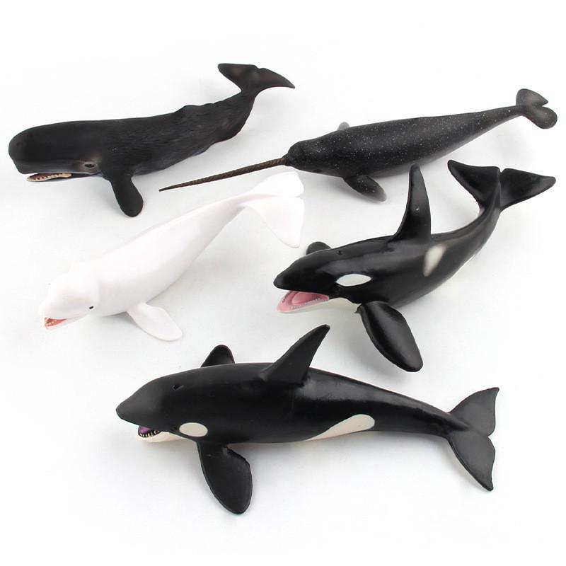 Realistic Blue Whale Pvc Marine Animal Figures For Educational Toys And Display