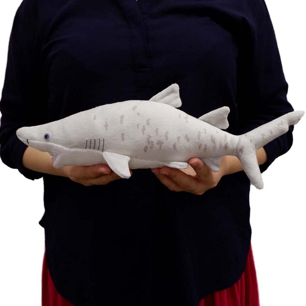 TST Advance Exciting Illustrated Grey Shark Plush Toy 9964 Book