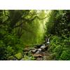 3d Forest Wallpaper Natural Scenery Forest Wall Murals Bedroom Living Room Mural