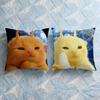 Cushion Cover Cute Earth Soft Case For Sofa Living Cat Room Home Comfortable Office Decor Space Protective Pillow Covers